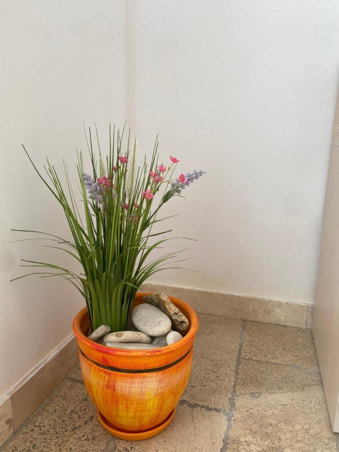 59 Kaliakria Seaview Luxury Apartment Topola Eksteriør billede
