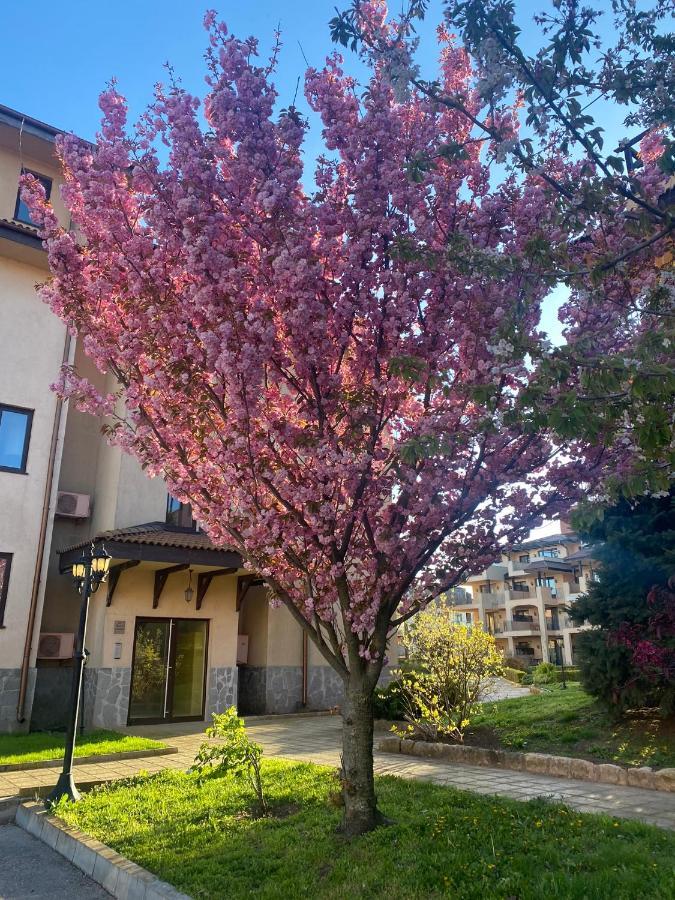 59 Kaliakria Seaview Luxury Apartment Topola Eksteriør billede
